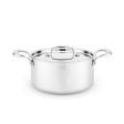 4 Quart Sauce Pot with Lid Online