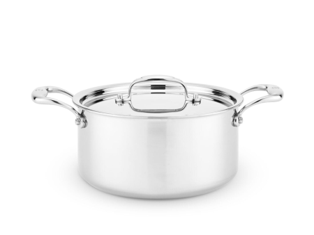 4 Quart Sauce Pot with Lid Online