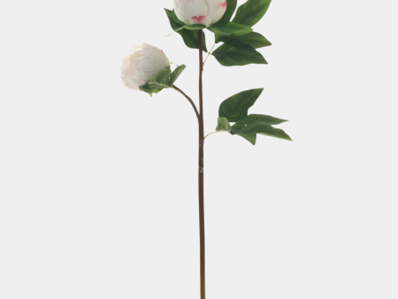 White Peony Stem Discount