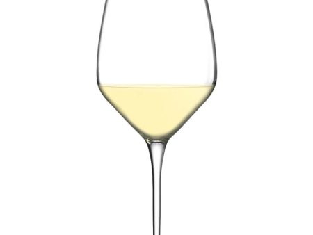 Atelier 11.75 OZ Sauvignon White Wine Glasses (Set Of 6) Sale