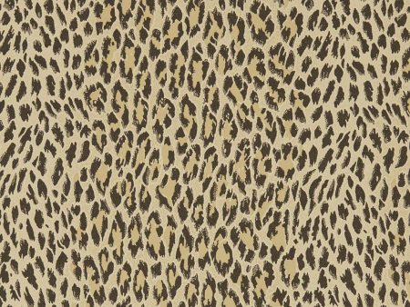 WILD CARD Wallpaper - Butterscotch Sample Supply