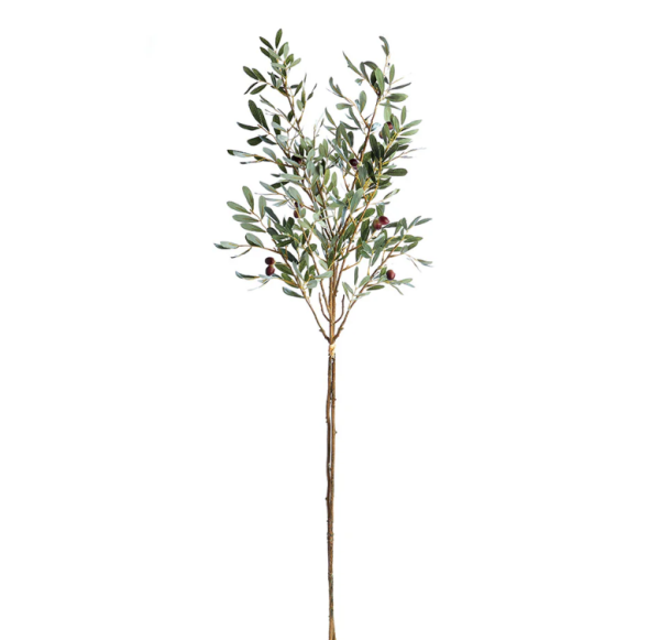 43  Olive Stem Sale