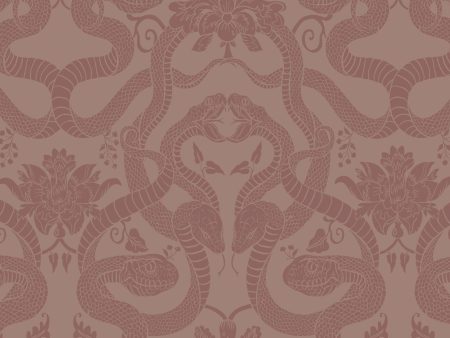 ANACONDA Traditional Wallpaper  - Dusky Pink Sample Online